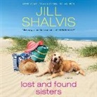 Jill Shalvis, Karen White - Lost and Found Sisters (Audio book)