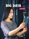 Kristin Fontichiaro - BIG DATA