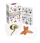 Ivy Press, Ivy Press - A Box of Orchids