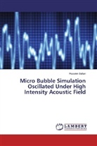 Hussien Sultan - Micro Bubble Simulation Oscillated Under High Intensity Acoustic Field