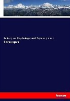 Th W ( Engelmann, Th. W. Engelmann, Th. W. (Th. Wilhelm) Engelmann, Juliu Hirschberg, Julius Hirschberg, Émile Javal... - Beitrag zur Psychologie und Physiologie der Sinnesorgane