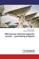 William Kaganov, Williami Kaganov, Stanislava Tereshchenko - Microwave electromagnetic waves - promising projects