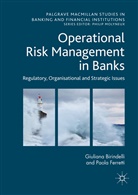 Giulian Birindelli, Giuliana Birindelli, Paola Ferretti - Operational Risk Management in Banks