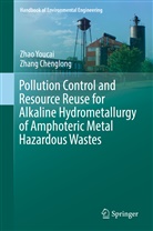 Zhang Chenglong, Zha Youcai, Zhao Youcai, Chenglong Zhang, Youcai Zhao - Pollution Control and Resource Reuse for Alkaline Hydrometallurgy of Amphoteric Metal Hazardous Wastes