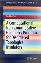 Emil Prodan - A Computational Non-commutative Geometry Program for Disordered Topological Insulators