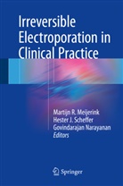 Heste J Scheffer, Hester J Scheffer, Martijn Meijerink, Martijn R. Meijerink, Govindarajan Narayanan, Hester Scheffer... - Irreversible Electroporation in Clinical Practice