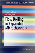 Tamann Alam, Tamanna Alam, Poh-Seng Lee - Flow Boiling in Expanding Microchannels