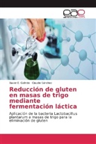 Xavier Galindo, Xavier E Galindo, Xavier E. Galindo, Claudio Sánchez - Reducción de gluten en masas de trigo mediante fermentación láctica