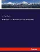 Bernhard Baehr - Die Therapie nach den Grundsätzen der Homöopathie