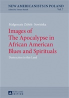 Ma¿gorzata Zió¿ek-Sowi¿ska, Malgorzata Ziolek-Sowinska, Malgorzata Ziólek-Sowinska, Tomasz Basiuk - Images of The Apocalypse in African American Blues and Spirituals