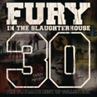 Fury in the Slaughterhouse - 30, 3 Audio-CDs (Audio book)