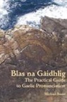 Michael D. Bauer - Blas na Gaidhlig