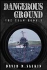 David M Salkin, David M. Salkin - Dangerous Ground