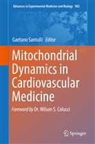 Gaetan Santulli, Gaetano Santulli - Mitochondrial Dynamics in Cardiovascular Medicine