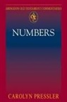 Carolyn Pressler, Carolyn Pressler - Abingdon Old Testament Commentaries