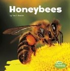 Lisa J Amstutz, Lisa J. Amstutz - Honeybees