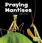 Lisa J Amstutz, Lisa J. Amstutz - Praying Mantises