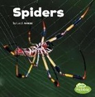 Lisa J. Amstutz - Spiders