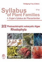Adolf Engler, Tae O. Cho, Wolfgang Frey, Mitsunobu Kamiya, Sandra C. Lindstrom, Takeshi Nakayama... - Syllabus of Plant Families - 2/2: Photoautotrophic eukaryotic Algae - Rhodophyta