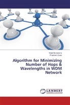 Prashant Goad, Kira Sonawane, Kiran Sonawane - Algorithm for Minimizing Number of Hops & Wavelengths in WDM Network