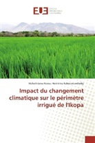 Maholiniaina Nanou Herinirina Rakotomandimby - Impact du changement climatique sur le périmètre irrigué de l'Ikopa