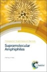 Prof. Xi (Tsinghua University Zhang, Xi Zhang, XI (Tsinghua University Zhang, Philip Gale, Xi Zhang, XI (Tsinghua University Zhang - Supramolecular Amphiphiles