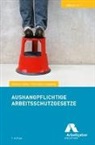 Rainer Huke, Christian Lepping, Bundesvereinigung der Deutschen Arbeitgeberverbände (BDA), Rainer Huke, Christian Lepping - Aushangpflichtige Arbeitsschutzgesetze