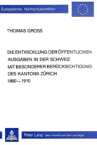 Thomas Groß - Die Entwicklung der öffentlichen Ausgaben in der Schweiz mit besonderer Berücksichtigung des Kantons Zürich 1860-1910
