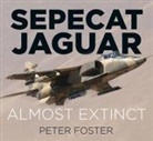 Peter Foster - Sepecat Jaguar: Almost Extinct