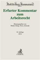 Thomas Dieterich, Peter Hanau, Rudi Müller-Glöge, Ulric Preis, Ulrich Preis, Günter Schaub... - Erfurter Kommentar zum Arbeitsrecht