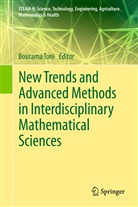 Bouram Toni, Bourama Toni - New Trends and Advanced Methods in Interdisciplinary Mathematical Sciences