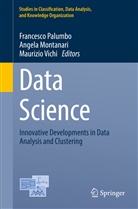 Angel Montanari, Angela Montanari, Francesco Palumbo, Maurizio Vichi - Data Science