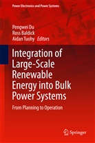 Ros Baldick, Ross Baldick, Pengwei Du, Aidan Tuohy - Integration of Large-Scale Renewable Energy into Bulk Power Systems