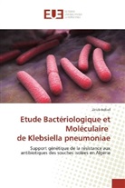 Zineb Belbel - Etude Bactériologique et Moléculaire de Klebsiella pneumoniae