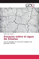 Reynol Díaz Coutiño - Ensayos sobre el agua de Sinaloa