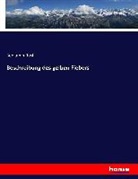 Benjamin Rush - Beschreibung des gelben Fiebers