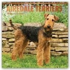 Browntrout Publishers (COR) - Airedale Terriers 2018 Calendar