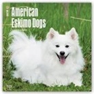 Browntrout Publishers (COR) - American Eskimo Dogs 2018 Calendar