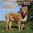 BrownTrout Publisher, Inc Browntrout Publishers, Browntrout Publishers (COR) - American Pit Bull Terriers 2018 Calendar