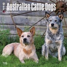 BrownTrout Publisher, Browntrout Publishers (COR) - Australian Cattle Dogs 2018 Calendar