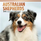 BrownTrout Publisher, Inc Browntrout Publishers, Browntrout Publishers (COR) - Australian Shepherds 2018 Calendar