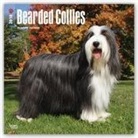 Browntrout Publishers (COR) - Bearded Collies 2018 Calendar