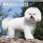 BrownTrout Publisher, Inc Browntrout Publishers, Browntrout Publishers (COR) - Bichon Frise 2018 Calendar