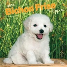 BrownTrout Publisher, Browntrout Publishers (COR) - Bichon Frise Puppies 2018 Calendar