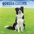 BrownTrout Publisher, Inc Browntrout Publishers, Browntrout Publishers (COR) - Border Collies 2018 Calendar