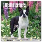 Inc Browntrout Publishers, Browntrout Publishers (COR) - Boston Terriers 2018 Calendar