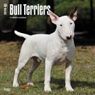 BrownTrout Publisher, Browntrout Publishers (COR) - Bull Terriers 2018 Calendar
