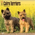 BrownTrout Publisher, Inc Browntrout Publishers, Browntrout Publishers (COR) - Cairn Terriers 2018 Calendar