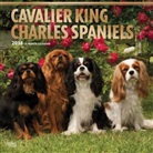 BrownTrout Publisher, Inc Browntrout Publishers, Browntrout Publishers (COR) - Cavalier King Charles Spaniels 2018 Calendar
