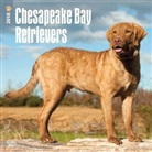 BrownTrout Publisher, Browntrout Publishers (COR) - Chesapeake Bay Retrievers 2018 Calendar
